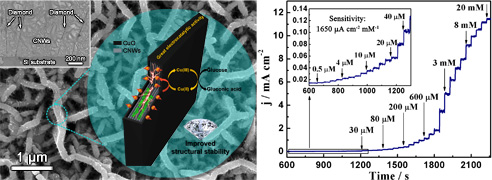 Cu_金刚石_碳纳米墙检测葡萄糖.jpg