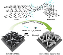 金刚石_碳纳米墙转化为分层薄膜.jpg